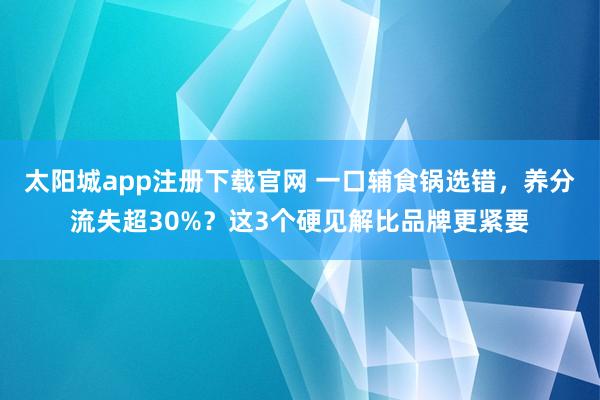 太阳城app注册下载官网 一口辅食锅选错，养分流失超30%？这3个硬见解比品牌更紧要