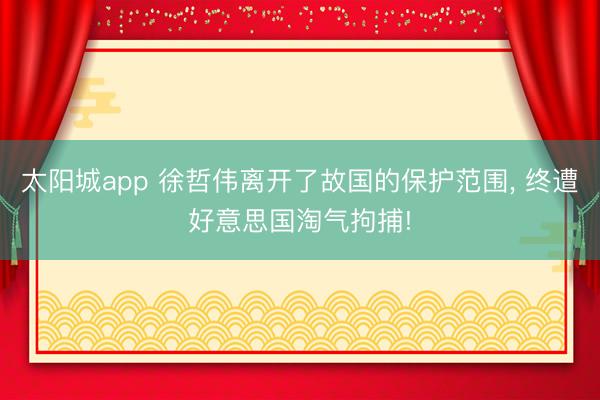 太阳城app 徐哲伟离开了故国的保护范围, 终遭好意思国淘气拘捕!